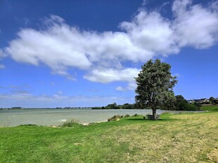 海滨蓝天白云绿地风景