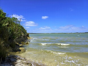 绿植伴海浪轻涌海边美景