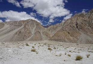 荒凉山地景观