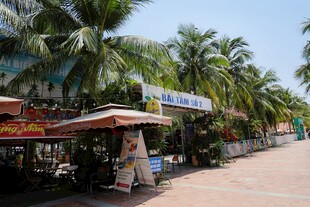 热带街道的休闲小店景观