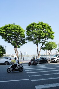 城市街道绿树旁的骑行场景