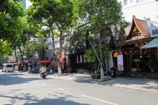 街边绿树掩映的特色店铺