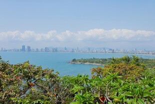 海滨绿植环绕的城市远景