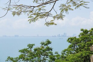 湖畔绿树间的城市远景