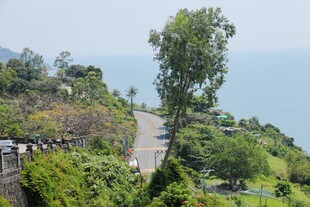 山间绿意盎然的蜿蜒道路