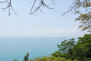 俯瞰碧海绿树美景
