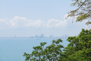 海景与城市天际线景观