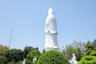 庄严观音像立于绿植间