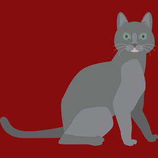 灰色猫咪坐姿插画