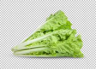 白菜