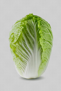 白菜