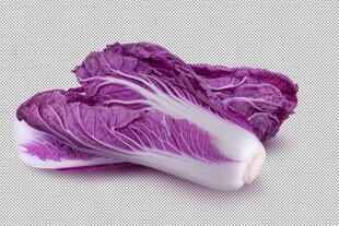 紫色白菜