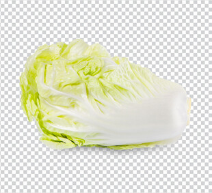 白菜