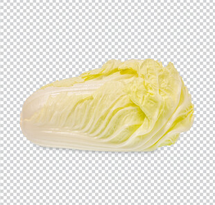白菜蔬菜