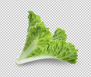 蔬菜