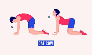 猫式瑜伽动作示范