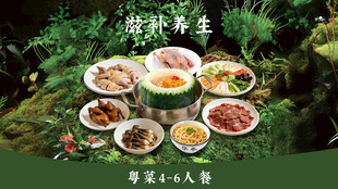 滋补养生鸽子套餐