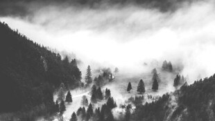 山间云雾缭绕的森林美景