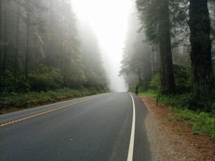 雾中林间公路静谧之景