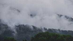 云雾缭绕的山林美景