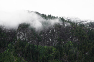 云雾缭绕的山林美景