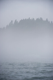 雾中湖畔森林美景