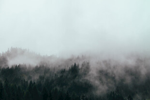 山林云雾缭绕的静谧景象