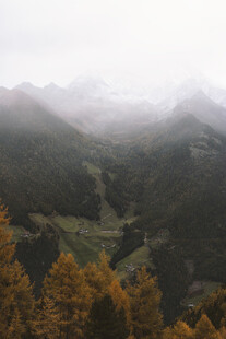 山间秋景云雾缭绕山林