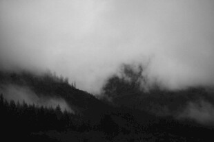 雾中朦胧山林景象
