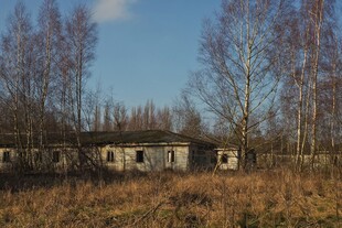 荒废小屋立于萧瑟田野间