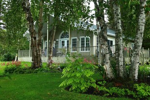 林间小屋