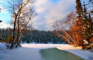 冬日雪林河畔美景