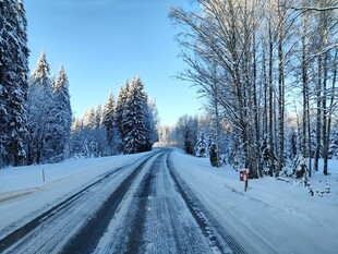 冬日雪覆公路静谧美景