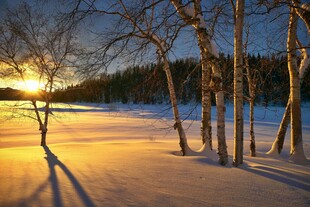 冬日雪林落日美景