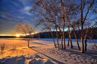 冬日雪林黄昏美景