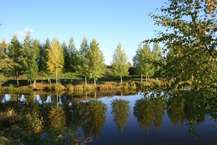 秋日湖畔美景