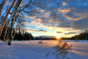 冬日雪林夕阳美景