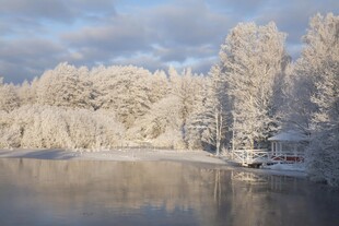 冬日雪覆湖畔静谧美景