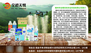 全橙无忧 产品展示