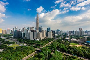 城市天际线与繁茂绿植景观