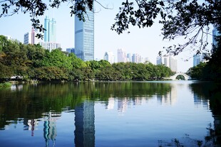 湖畔城市风光