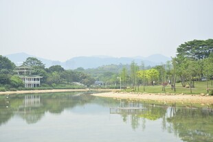 宁静湖畔自然风光