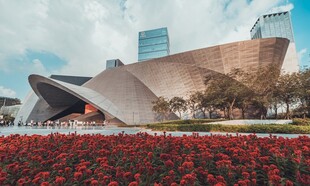 城市中绽放的艺术建筑景观
