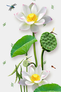 水墨荷花蜻蜓清新插画