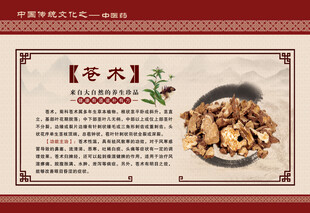 苍术