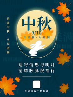 中秋佳节玉兔伴明月