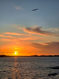 海上壮丽日落美景