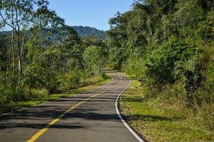 蜿蜒林间公路