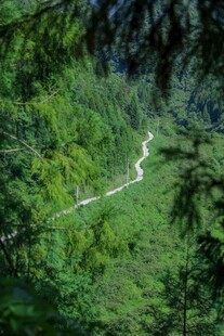 山间蜿蜒公路穿翠绿山林