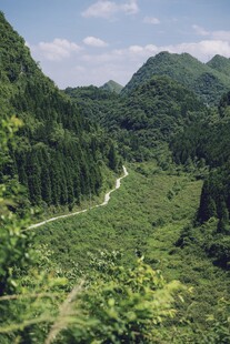 山间绿野中的蜿蜒小路